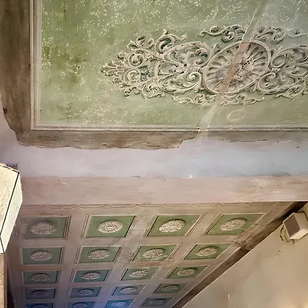 Mario Number 8 Verona