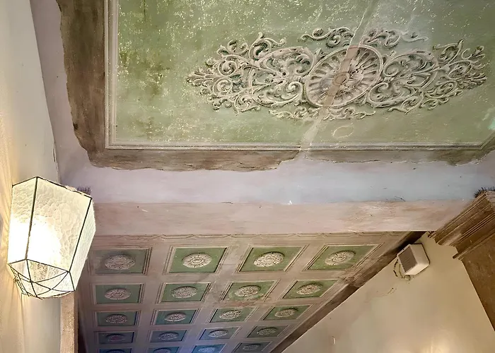 Mario Number 8 维罗纳